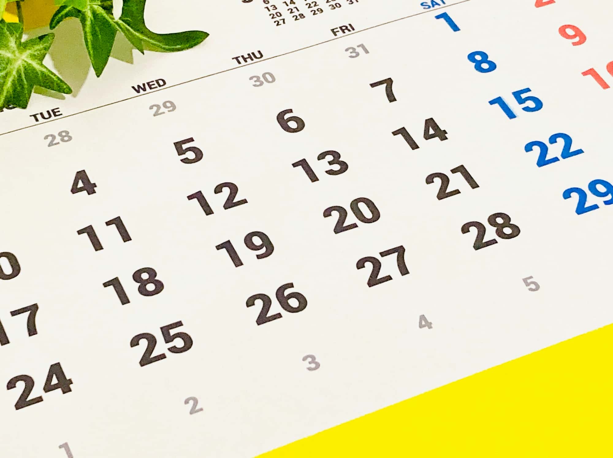 理想の白さになるまでにかかる期間を示すカレンダーのイメージ